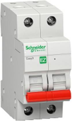 schneider 40A 2Pole Isolator MCB