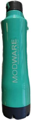 MODWARE kool leo water bottle 800 ml Plastic Bottle