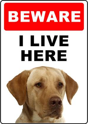 RLDigitalUnits Beware I Live Here Sign Emergency Sign