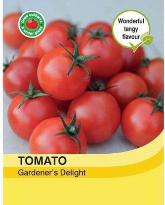 ActrovaX Vegetables - Tomato Tumbling Tom Red [8000 Seeds] Seed