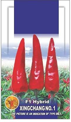 ActrovaX Chilli Hybrid XINGCHANG NO [8000 Seeds] Seed