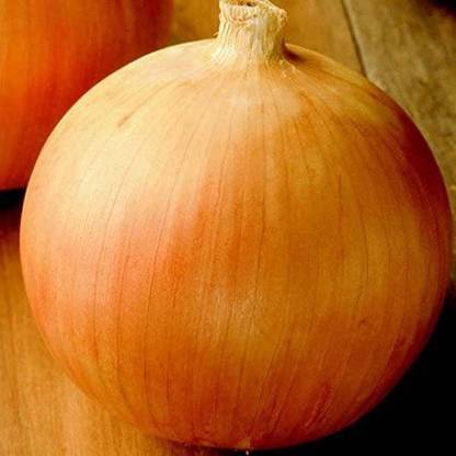 WILLVINE ™UNUSUAL RARE heirloom heritage SWEET SPANISH YELLOW ONION Seed