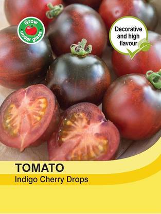 ActrovaX Vegetable - Tomato Indigo Cherry Drops - Seed [16000 Seeds] Seed