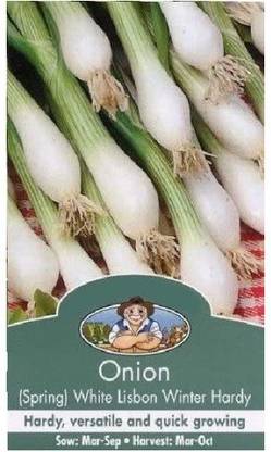 Biosnyg Spring Onion Lisbon Winter Hardy 25gm Seeds Seed