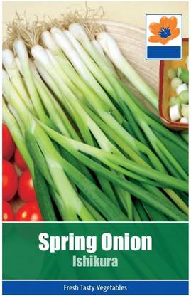 Biosnyg Spring Onion Ishikura Seeds 500 Seeds Seed