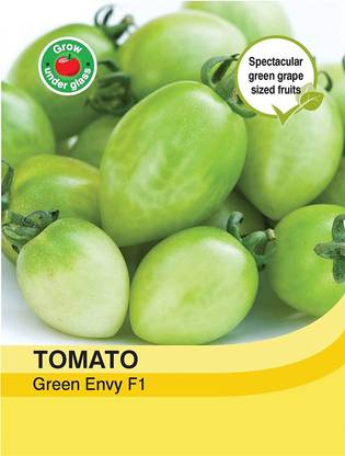 ActrovaX Vegetables - Tomato Green Envy F1 Hybrid [250 Seeds] Seed
