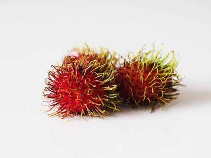 Elite Green Rambutan Seed