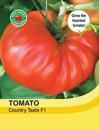 ActrovaX Vegetables - Tomato Country Taste F1 Hybrid [8000 Seeds] Seed