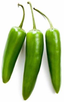 ActrovaX F1 Hybrid Achari Chilli [1gm Seeds] Seed