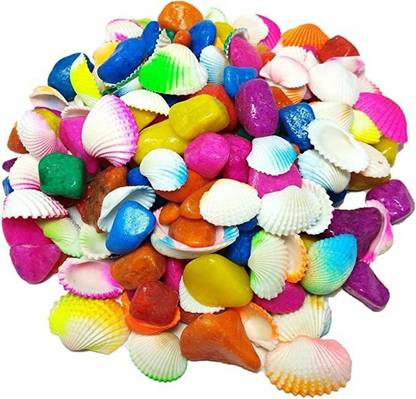 VANNEF Colorful stone with Craft shells Sippi for Garden, Aquarium, Table, Vase Decor Shale Unplanted Substrate
