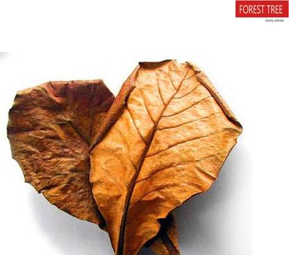 Forestree Indian Almond leaves dried | best for fish Aquatic Plant Fertilizer