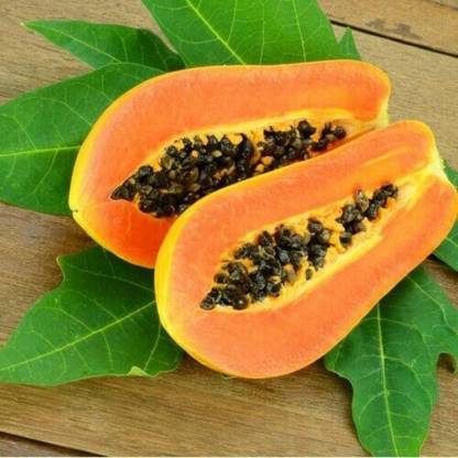 ActrovaX Rare Papaya Fruit Seed"Honey Dew" Exotic Fruit [1600 Seeds] Seed
