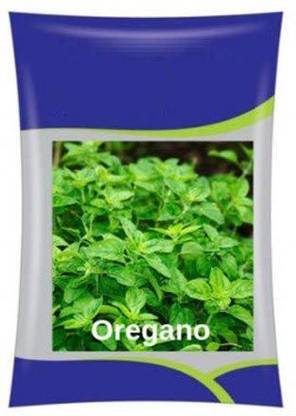 VibeX Oregano High Yield Seeds Seed
