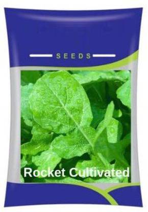 ActrovaX High Yielding Rocket Cultivated Herb [50 Seeds] Seed