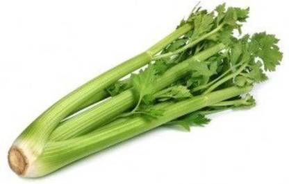 ActrovaX Celery Herb Organic F1 Hybrid [1000 Seeds] Seed