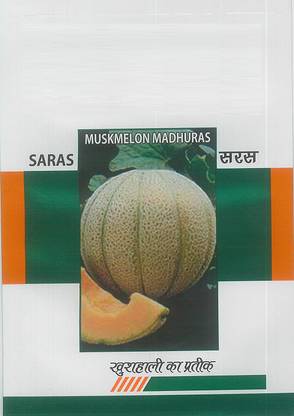 ActrovaX Iroquois Muskmelon, Cantaloupe [500 Seeds] Seed
