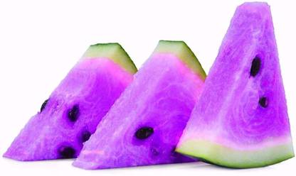 WILLVINE ™Hybrid Purple Watermelon Seeds Seed
