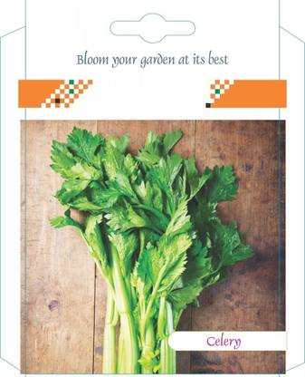 Biosnyg Celery Seeds 10gm Seeds Seed