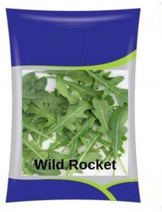 VibeX ™ XLL-713- Wild Rocket Herb High Yield Seeds Seed
