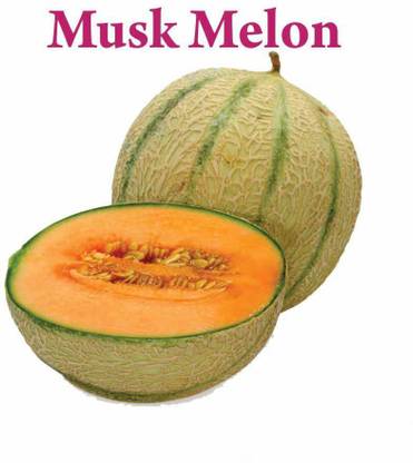 Biosnyg ORGANIC SEEDS ! Hybrid Muskmelon 250 Seeds Seed