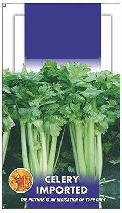 ActrovaX Celery Stick Imported Tall Utah [16000 Seeds] Seed