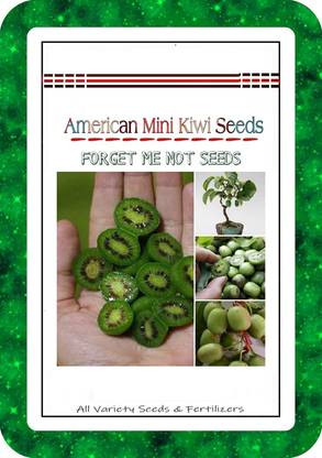 ActrovaX American Mini Kiwi Hybrid Variety High Quality Selected [10gm Seeds] Seed