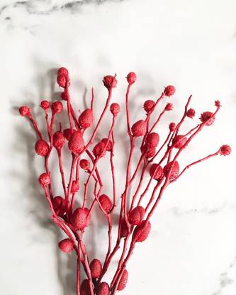 On The Soil Willow Bunch Red Vase Filler