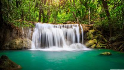 OM GRAPHICS Nature Multicolor Wallpaper