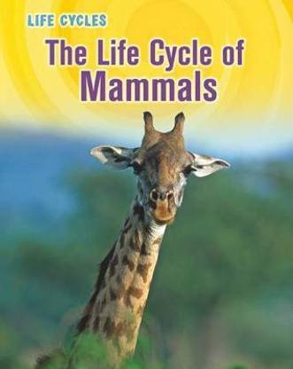 Life Cycle of Mammals (Life Cycles)