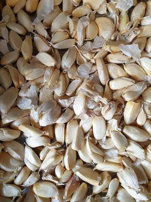 Biosnyg Garlic 'Vallelado' Hardy Bulb 10gm Seeds Seed