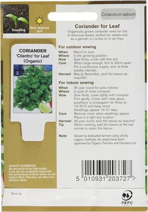 WILLVINE Hybrid Coriander Leaf Rich Coriandrum Sativum Chinese Parsley or Dhania Seed