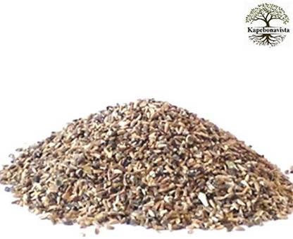 Kapebonavista Kasini Kacini Kasni Kashini Chicory Cichorium Intybus Seeds 100g Seed