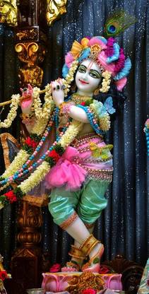 Shri Krishna Ji Multicolour Photo Print Poster Photographic Paper