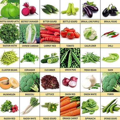 Beej Wala Vegetable Seeds 30 Varieties Of Seeds Kitchen Gardening Seed