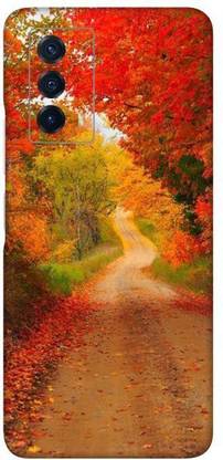 aadia ®VIVO iQOO Z5(5G) Mobile Skin