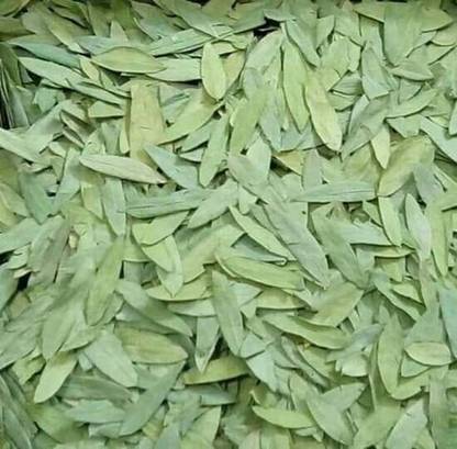 Dirghaanshi SENNA PATTA, SANAY LEAVES, SENNA LEAF, SONAMUKHI LEAVES, SONA PATTA (Pack of 500 gm) Seed
