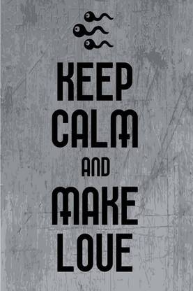 Poster Keep Calm And Make Love sl1106 (Wall Poster, 13x19 Inches, Matte, Multicolor) Fine Art Print