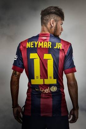 Poster Netmar Jr sl1147 (Wall Poster, 13x19 Inches, Matte, Multicolor) Fine Art Print