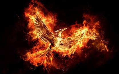 Poster The Hunger Games Mockingjay Part 2 The Hunger Games sl651 (Wall Poster, 13x19 Inches, Matte, Multicolor) Fine Art Print