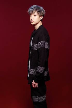 Stray Kids Bang Chan Matte Finish Poster Paper Print