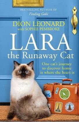 Lara The Runaway Cat