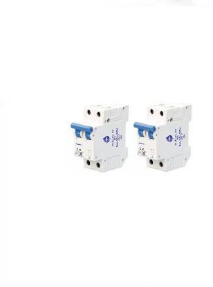 Delton DOUBLE POLE MCB C CURVE 40AMP ISOLATOR DP (PACK OF 2 ) MCB