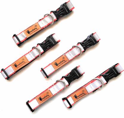 pawsitivity Dog Everyday Collar