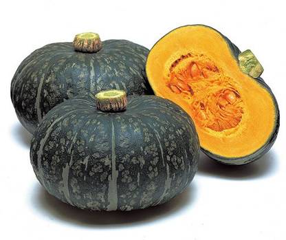 ErTh Green mini Beibei pumpkin Seed