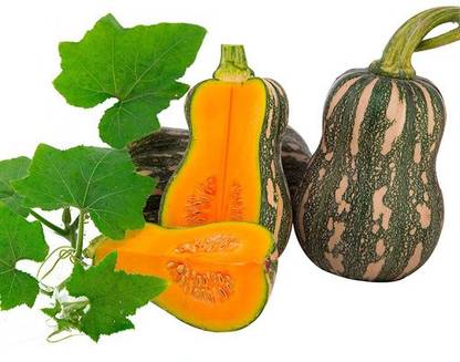 ErTh High Quality Pumpkin Squash Vegetable Seed