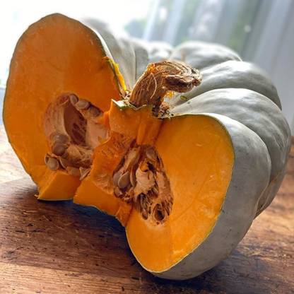 Farmonix Pumpkins Seed