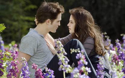 Poster Edward Bella Twilight Breaking Dawn Part 2 Movies sl366 (Plastic Large Wall Poster, 36x24 Inches, Multicolor) Fine Art Print