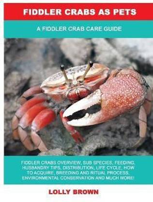 Fiddler Crabs as Pets