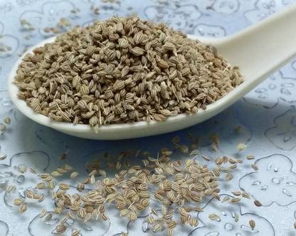 MyGodGift Ajmoda Seeds Graveolens Seeds Ajmod Beej Seeds Anamoda Seeds, Wild celery, Apium Seed