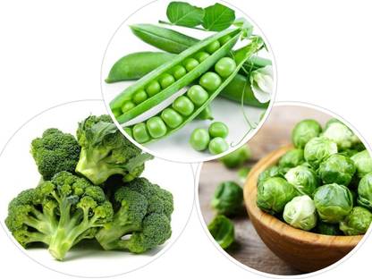 Gromax India Broccoli, Brussels sprouts,Peas Vegetable 3 Verity Combo Pack Of 40 Seed